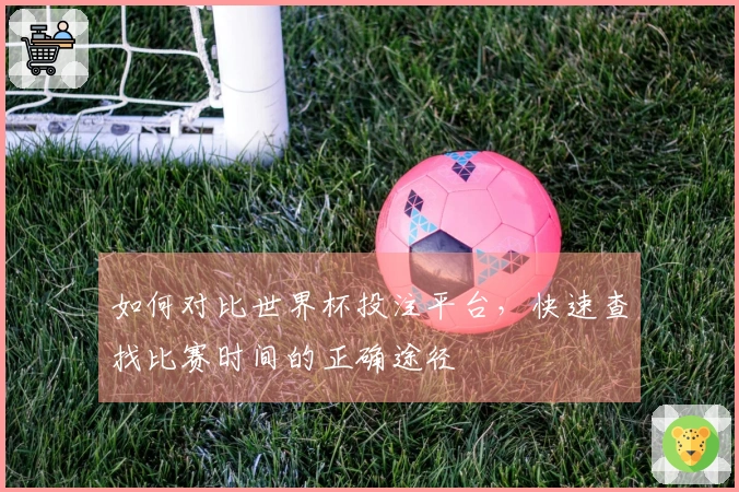 如何对比世界杯投注平台，快速查找比赛时间的正确途径